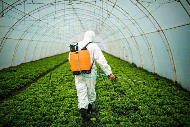 Best Emergency Pest Control  in Mount Penn, PA