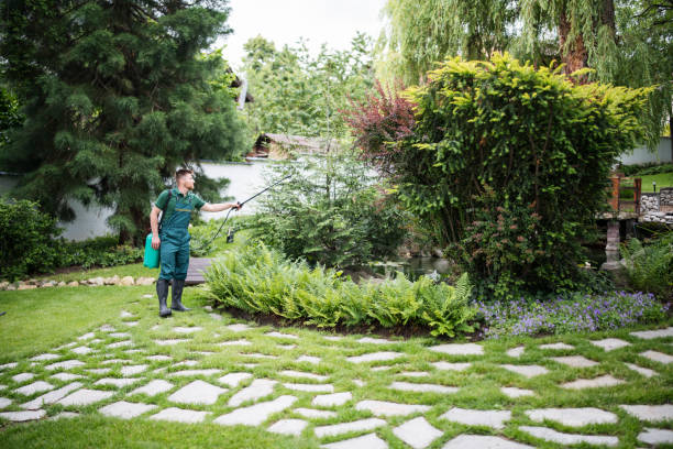 Best Wasp Removal Services  in Mount Penn, PA